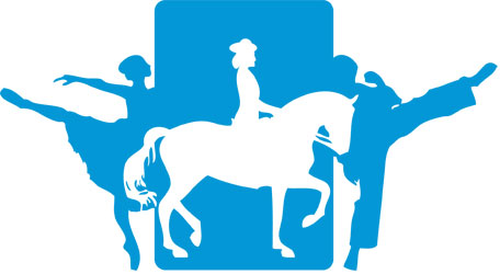 Sports Mirrors Australia logo