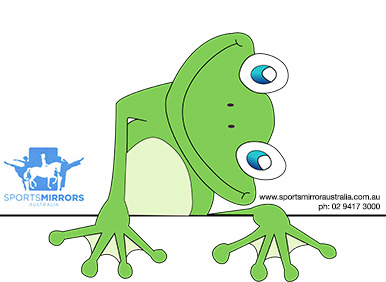 Froggy swimming mirror - Swim mirorr training aid