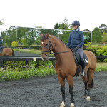 Arena Mirrors at Wallaby Hill