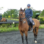 Arena Mirrors at Wallaby Hill