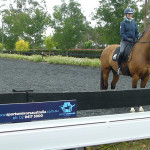 Arena Mirrors at Wallaby Hill