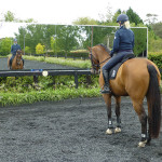 Arena Mirrors at Wallaby Hill