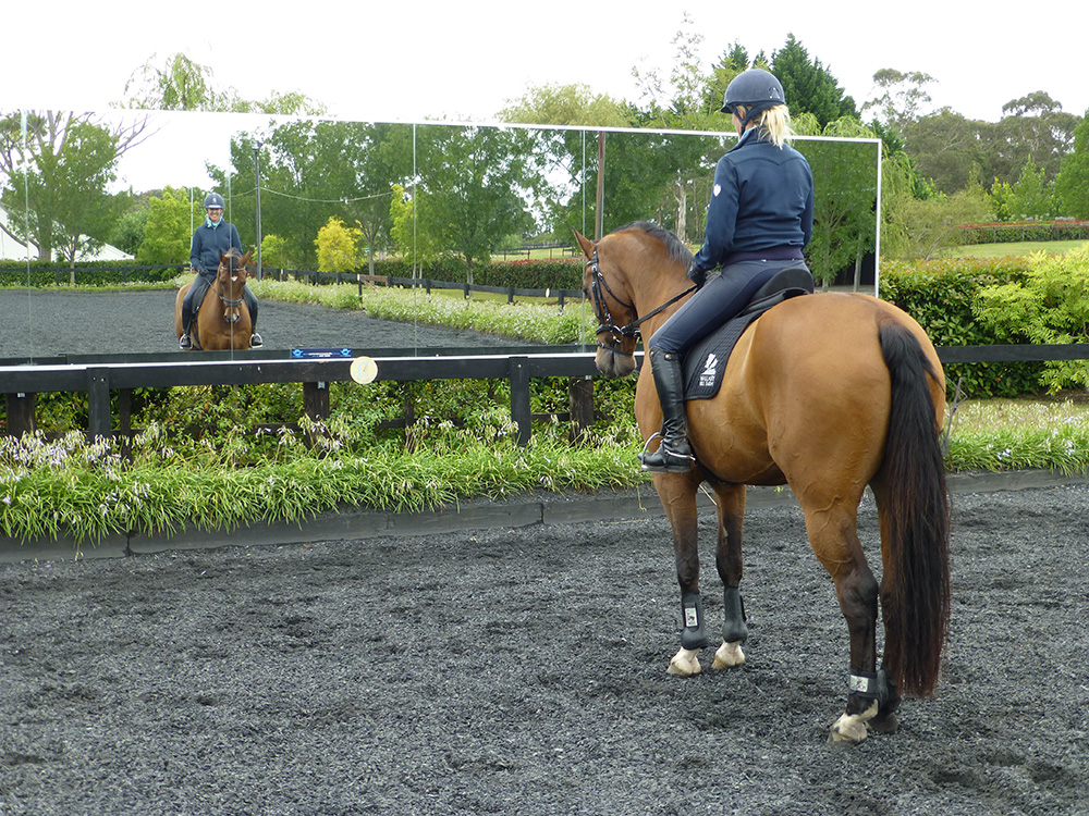 Wallaby Hill Mirror Sports Mirrors Australia