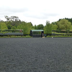 Arena Mirrors at Wallaby Hill