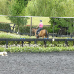 Arena Mirrors at Wallaby Hill