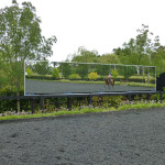 Arena Mirrors at Wallaby Hill