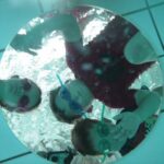 Underwater Kids Maryborough Aquatic Centre